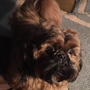 Meet your Posher, Zola